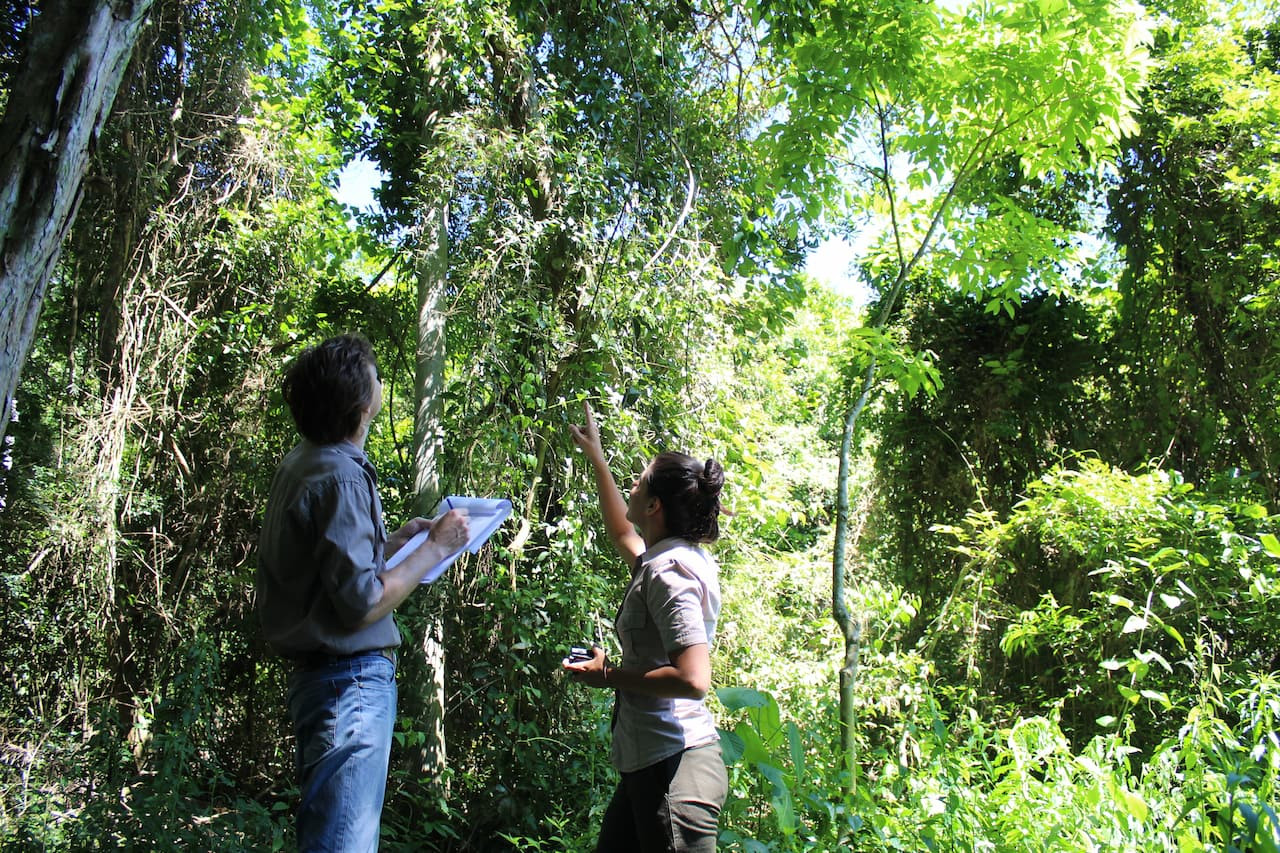 Lic. en Conservación y Desarrollo Ecorregional